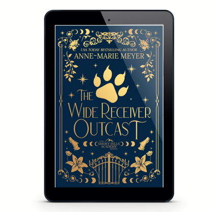 The Wide Receiver Outcast, Book 3